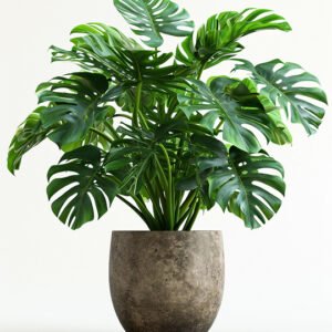 Home product 01
